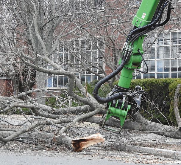 Mayer Tree cleaning up storm debris from a Massachusetts school. TCIA file photo courtesy of Mayer Tree Service.